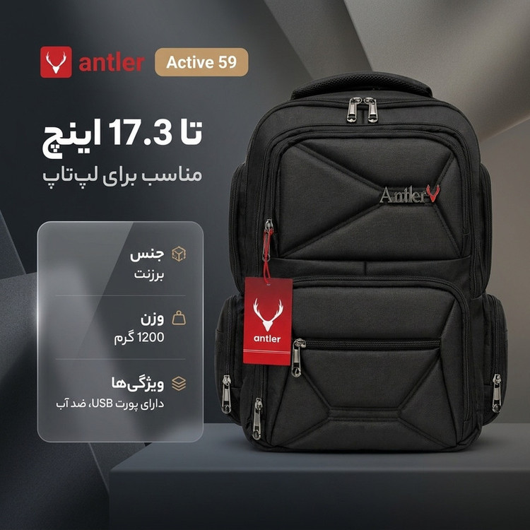 کیف لپ تاپ آنتلر مدل Active 59 مناسب برای لپتاپهای تا 17.3 اینچ