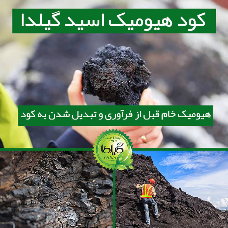کود مایع هیومیک اسید هیومابن گیلدا مدل GHA حجم 120 میلی لیتر