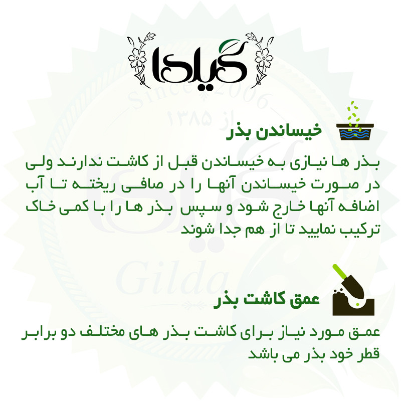 بذر سبزی خوردن گیلدا کد 097 مجموعه 10 عددی