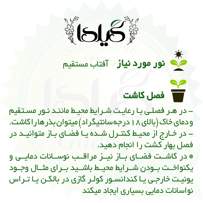 بذر سبزی خوردن گیلدا کد 097 مجموعه 10 عددی