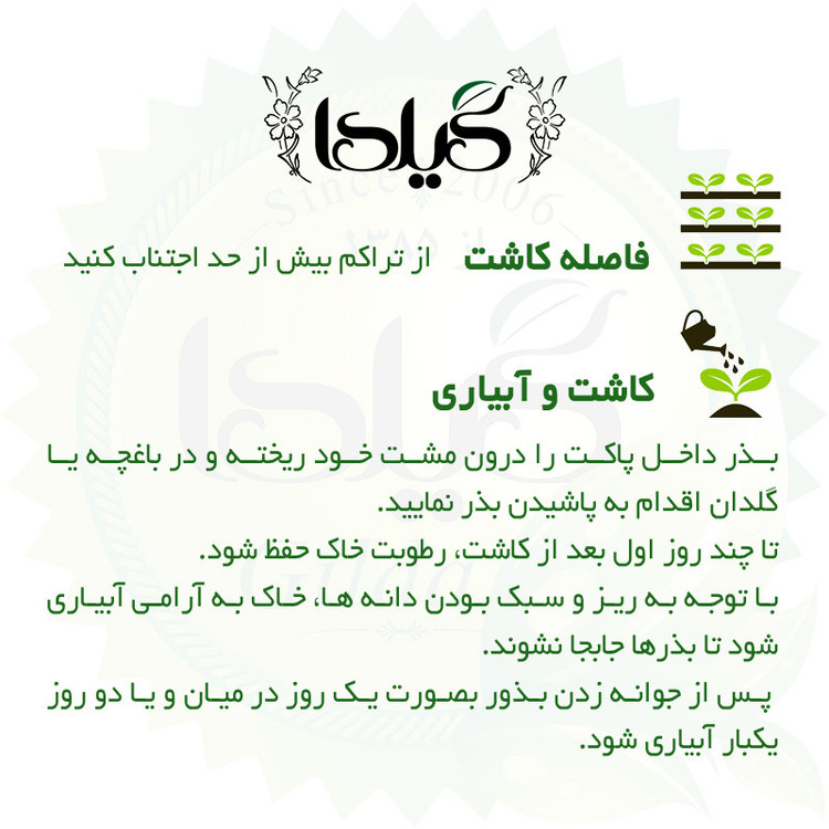 بذر سبزی خوردن گیلدا کد 097 مجموعه 10 عددی
