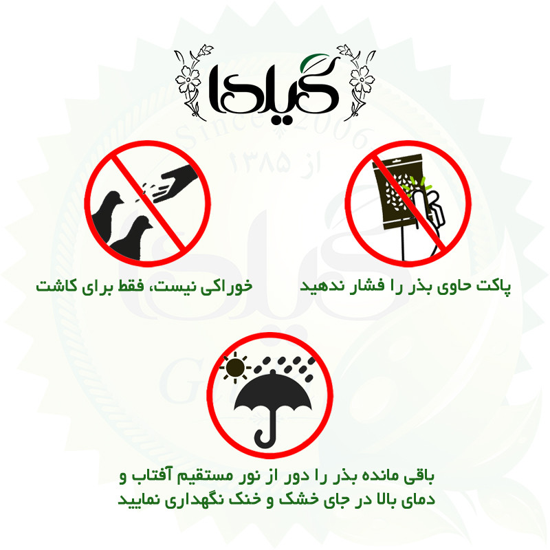 بذر سبزی خوردن گیلدا کد 097 مجموعه 10 عددی